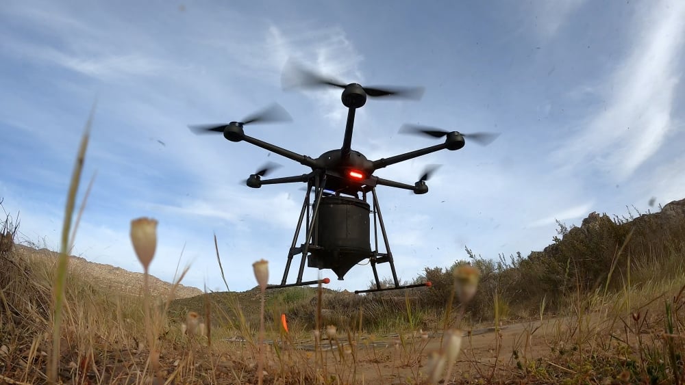 AirSeed: Drone planting takes flight to promote reforestation in flood-affected NSW